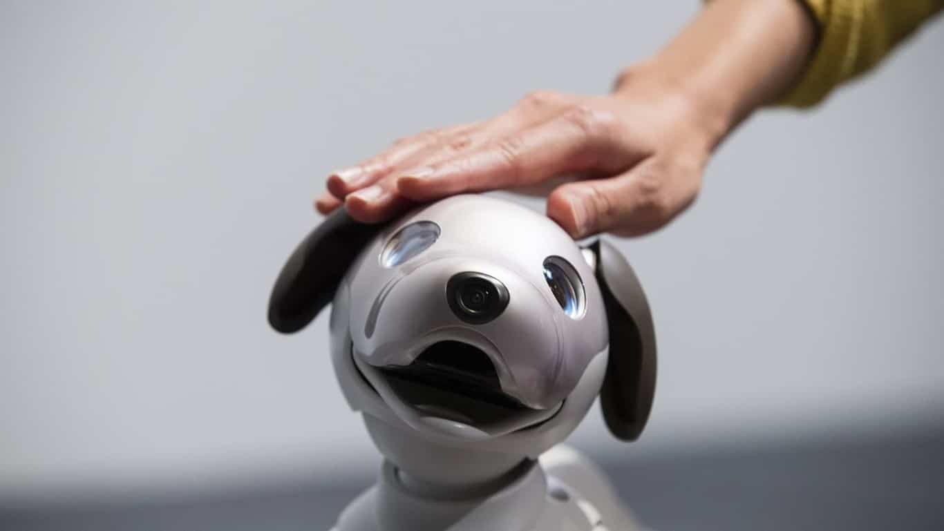 ¿Podrías amar a un robot como mascota?