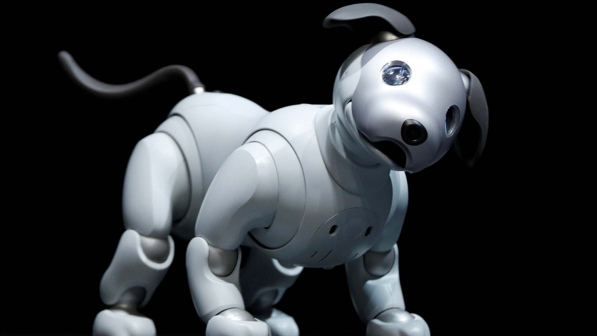 Robot Con Forma De Mascota Canina