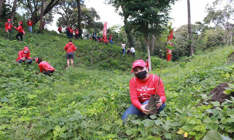Voluntarios Plantando Árbol