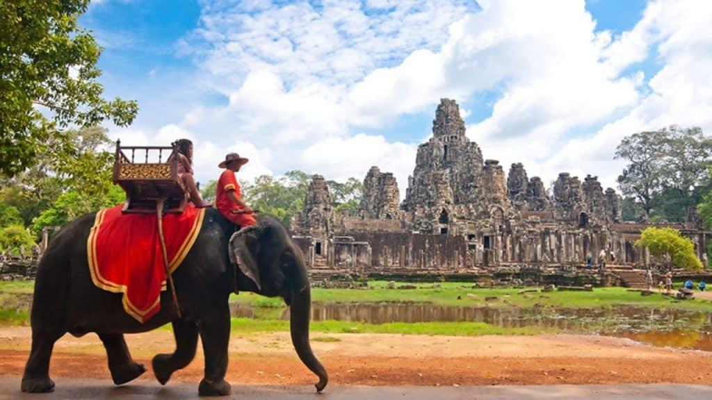 Elefante Y Jinete Caminando