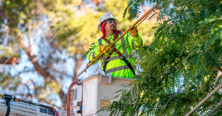 Hombre Haciendo Poda Evitando Ramas En Líneas Eléctricas