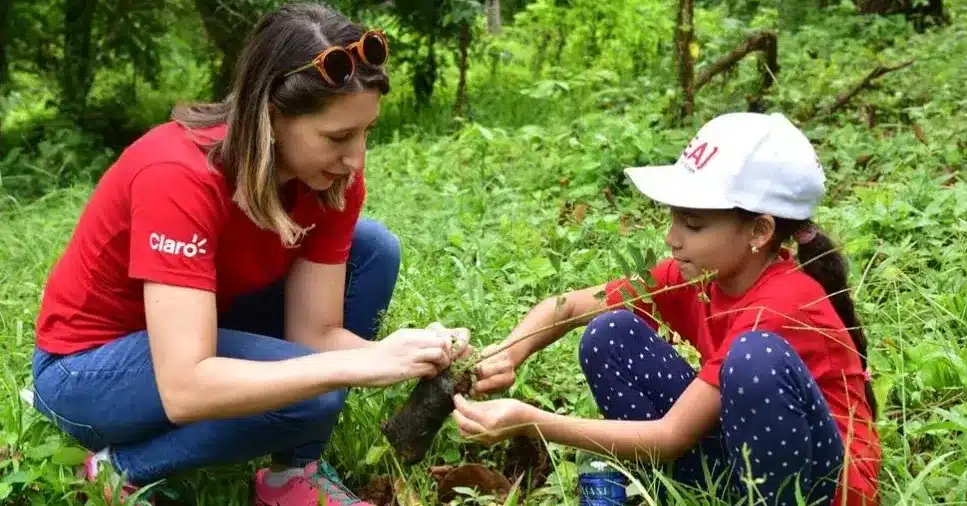 Programa Salva Lo Bonito Claro Nicaragua